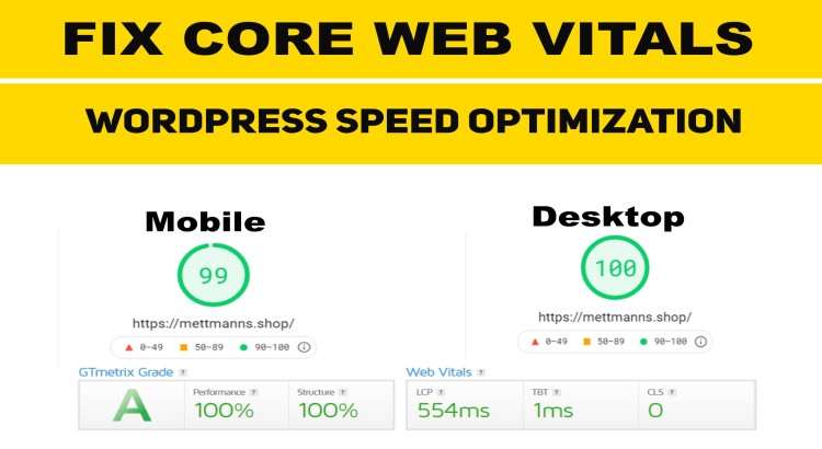 Speed Up WordPress & Fix Core Web Vitals for Google PageSpeed Insights