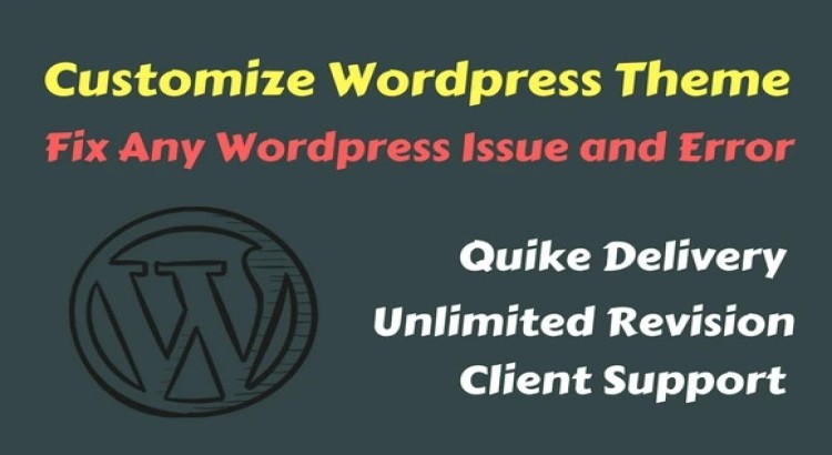 I will fix WordPress errors, resolve issues, and customize your WordPress theme