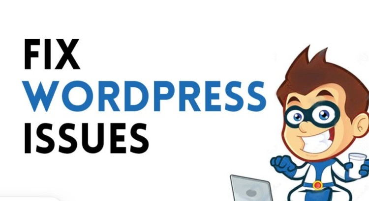 I will fix WordPress issues and WooCommerce bugs quickly and professionally