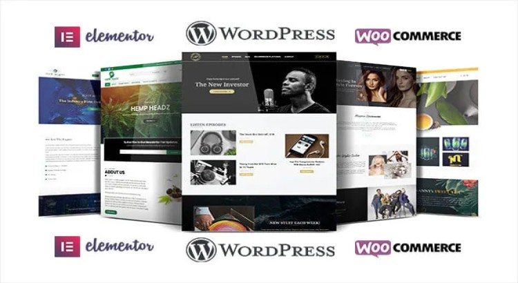 I will create a fully responsive and modern WordPress website Design