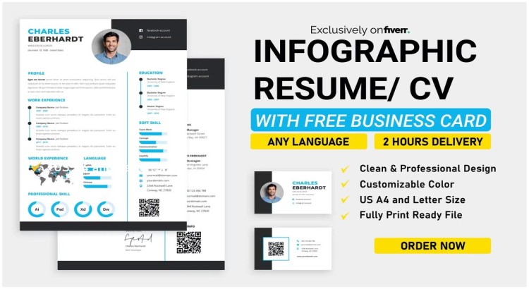 I will create a unique, infographic-style CV or resume within 2 hours